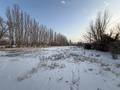 Участок · 50 соток, Алтыуй — Желтоксан за 50 млн ₸ в Жаркенте — фото 2