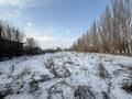 Участок · 50 соток, Алтыуй — Желтоксан за 50 млн ₸ в Жаркенте — фото 5