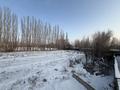 Участок · 50 соток, Алтыуй — Желтоксан за 50 млн ₸ в Жаркенте — фото 6