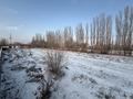 Участок · 50 соток, Алтыуй — Желтоксан за 50 млн ₸ в Жаркенте — фото 7