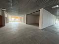 Еркін · 800 м², бағасы: 1.5 млн ₸ в Шымкенте, Енбекшинский р-н — фото 8