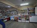 Магазины и бутики · 176 м² за 100 млн 〒 в Усть-Каменогорске — фото 14
