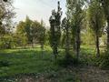 Жеке үй · 5 бөлме · 190 м² · 25 жүзд., Керуенсарай 115 — Тогус, бағасы: 41 млн ₸ в Шымкенте, Енбекшинский р-н — фото 9