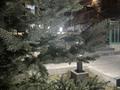 Бани, гостиницы и зоны отдыха · 1600 м² за 399 млн ₸ в Новой бухтарме — фото 17