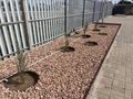 Жеке үй · 5 бөлме · 212.2 м² · 25 жүзд., Степанова 28, бағасы: 71 млн ₸ в Воздвиженке — фото 21