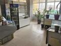 Дүкендер мен бутиктер, қоймалар, қоғамдық тамақтану орны · 431.5 м², бағасы: ~ 2.4 млн ₸ в Астане — фото 14