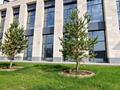 Свободное назначение · 1248 м² за ~ 1.4 млрд ₸ в Астане, Нура р-н — фото 9