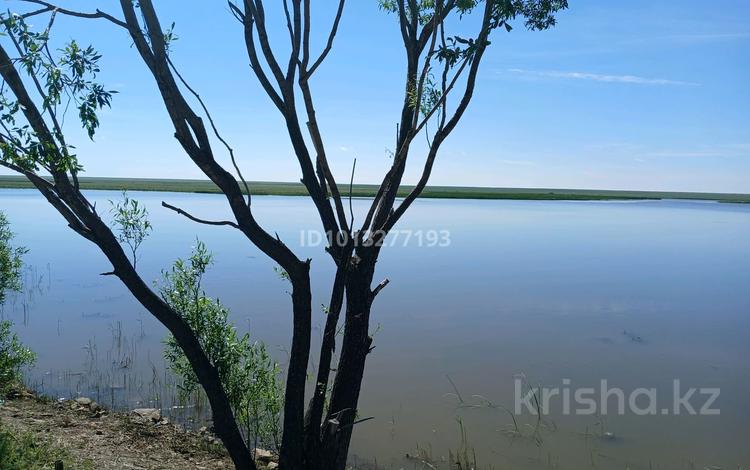 Участок · 95 га, Алтайское 77 за 55 млн ₸ в  — фото 2