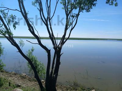 Жер телімі · 95 га, Алтайское 77, бағасы: 55 млн ₸ в 