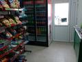Магазины и бутики · 200 м² за 30 млн ₸ в Батыре — фото 12