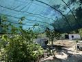 Отдельный дом · 3 комнаты · 49 м² · , жилой массив Кайнар Булак, Пограничная 2 — Транспортная улица за 20 млн ₸ в Шымкенте, Абайский р-н — фото 2