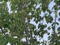 Жеке үй · 4 бөлме · 195 м² · 8 жүзд., 16 9 — Еркинкала, бағасы: 35 млн ₸ в Атырау — фото 6