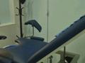 Медцентры и аптеки · 760 м² за 470 млн ₸ в Ташкенте — фото 2