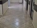 Медцентры и аптеки · 760 м² за 470 млн ₸ в Ташкенте — фото 6