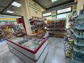 Продуктовый магазин готовый бизнес · 100 м² за 16 млн ₸ в Астане, Есильский р-н — фото 3