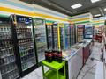 Продуктовый магазин готовый бизнес · 100 м² за 16 млн ₸ в Астане, Есильский р-н — фото 6