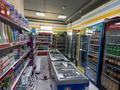 Продуктовый магазин готовый бизнес · 100 м² за 16 млн ₸ в Астане, Есильский р-н — фото 7