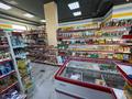 Продуктовый магазин готовый бизнес · 100 м² за 16 млн ₸ в Астане, Есильский р-н — фото 9