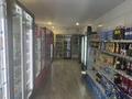 Еркін · 120 м², бағасы: 92 млн ₸ в Астане, Есильский р-н
