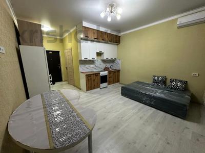 1-комнатная квартира, 28 м², 10/10 этаж, Ильяс Омаров 27 за 14.5 млн 〒 в Астане, Нура р-н
