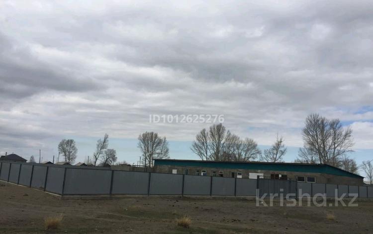 Промбаза · 25 соток, Кабанбай 1 — Село Кабанбай за 60 млн ₸ в  — фото 2