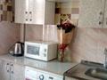 1-комнатная квартира, 35 м², 1/5 этаж посуточно, Гум Арбат 69 — Назарбаева- Бржансал за 7 000 〒 в Талдыкоргане — фото 9