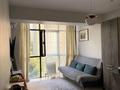 2-комнатная квартира · 45 м² · 7/13 этаж, Достык 138 за 500 000 ₸ в Алматы, Медеуский р-н — фото 16