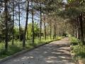 Участок · 1.8 соток, Арман 5 за 1.8 млрд ₸ в Алматы, Наурызбайский р-н — фото 4
