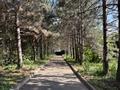 Участок · 1.8 соток, Арман 5 за 1.8 млрд ₸ в Алматы, Наурызбайский р-н — фото 5