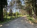 Участок · 1.8 соток, Арман 5 за 1.8 млрд ₸ в Алматы, Наурызбайский р-н — фото 7