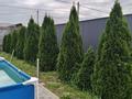 Отдельный дом · 2 комнаты · 50 м² · 8 сот., Жанадаур, Молодежная 46 — Болысбаева за 32 млн ₸ в Алатау — фото 13