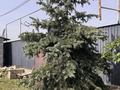 Отдельный дом · 2 комнаты · 50 м² · 8 сот., Жанадаур, Молодежная 46 — Болысбаева за 32 млн ₸ в Алатау — фото 56
