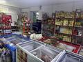 Магазины и бутики · 120 м² за 50 млн ₸ в Астане, р-н Байконур — фото 3