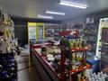 Магазины и бутики · 120 м² за 50 млн ₸ в Астане, р-н Байконур — фото 4