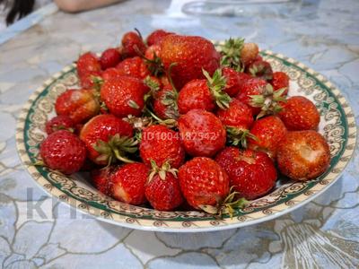 Дача · 1 комната · 30 м² · 6 сот., Огуречная за 2 млн 〒 в Петропавловске