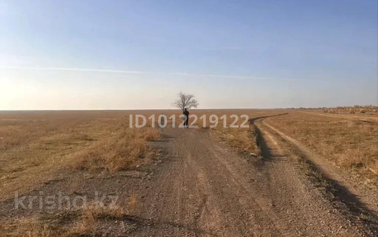 Участок · 6 га, Шенгельды за 98 млн ₸ — фото 4
