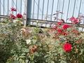 Отдельный дом · 3 комнаты · 180 м² · 4 сот., Новостройка 800.64 — Выше Рысулова за 28.8 млн ₸ в Кемертогане — фото 7