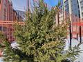 1-бөлмелі пәтер · 46.6 м² · 7/7 қабат, мкр Юго-Восток, Муканова 88, бағасы: 26 млн ₸ в Караганде, Казыбек би р-н — фото 18