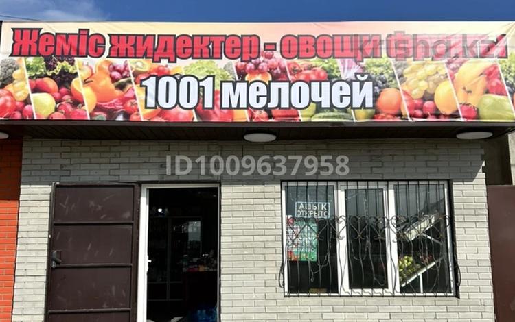 1 комната · 40 м², 3-линия 13 за 150 000 ₸ в Коянкусе — фото 29