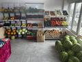 1 комната · 40 м², 3-линия 13 за 150 000 ₸ в Коянкусе — фото 24