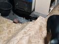 Жеке үй · 3 бөлме · 60 м² · 10 сот., Зелёная 30, бағасы: 5 млн ₸ в Усть-Каменогорске, Ахмирово — фото 10