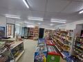 Жеке үй · 8 бөлме · 820 м² · 20 жүзд., Суенбая 3 — !!!ПЕРВАЯ ЛИНИЯ с пр. Республика, бағасы: 160 млн ₸ в Косшы — фото 49