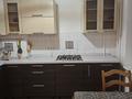 1-комнатная квартира · 33.9 м² · 2/5 этаж, Шашкина 32 за 36 млн ₸ в Алматы, Медеуский р-н — фото 3