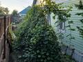 Жеке үй · 5 бөлме · 70 м² · 6 жүзд., Переулок Куратова 14, бағасы: 20 млн ₸ в Усть-Каменогорске, Ульбинский — фото 4