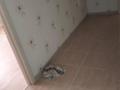 3-комнатная квартира · 113 м² · 6 этаж, 32А мкр 19 за 20 млн ₸ в Актау — фото 2