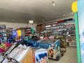 Свободное назначение, офисы, магазины и бутики, склады, азс, автосервисы и автомойки, общепит, салоны красоты, сельское хозяйство, бани, гостиницы и зоны отдыха, медцентры и аптеки, образование, развлечения · 900 м² за 56.9 млн ₸ в Талдыкоргане — фото 9