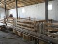 Отдельный дом · 5 комнат · 230 м² · 600 сот., Аронова 1 — Сүйінбай ата ескерткішне қарама қарсы за 350 млн ₸ в Каракастеке — фото 46
