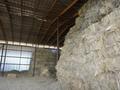 Отдельный дом · 5 комнат · 230 м² · 600 сот., Аронова 1 — Сүйінбай ата ескерткішне қарама қарсы за 350 млн ₸ в Каракастеке — фото 52
