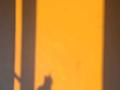 1-комнатная квартира, 39 м², 13/14 этаж, мкр Строитель за 12 млн 〒 в Уральске, мкр Строитель — фото 5