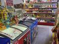 Еркін · 85 м², бағасы: 300 000 ₸ в Астане, Сарыарка р-н — фото 5